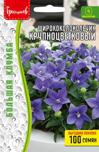 Ширококолокольчик Крупноцветковый  купить