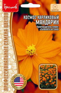 Космос Мандарин карликовый серножёлтый купить