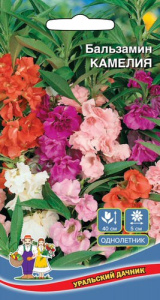 Бальзамин Камелия Смесь  купить
