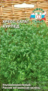 Кресс-салат Курлед купить