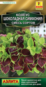 Колеус Шоколадная симфония, смесь сортов купить