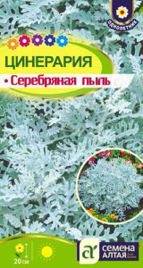 Цинерария Серебряная пыль