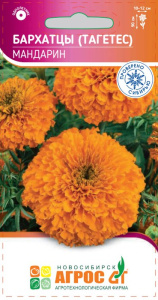 Бархатцы Мандарин купить