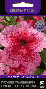 Петуния Красные Жилки грандифлора призм  купить