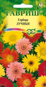 Гербера Лучики  купить