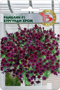 Петуния Рамблин F1 Бургунди Хром каскадная купить