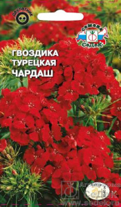Гвоздика Чардаш турецкая купить