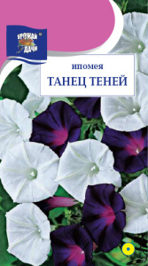 Ипомея Танец Теней купить