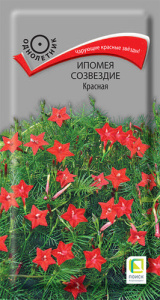 Ипомея Созвездие Красная  купить