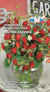 Земляника Мармеладная (ремонтантная мелкоплодная) купить