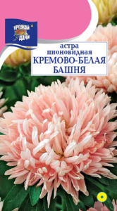 Астра Башня Кремово-белая пионовидная купить