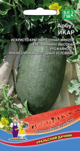 Арбуз Икар  купить