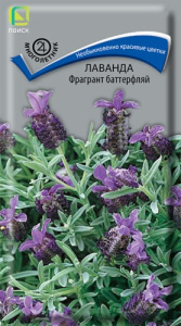 Лаванда Фрагрант Элеганс купить