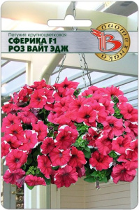 Петуния Сферика F1 Роз Вайт Эдж купить
