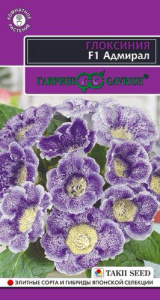 Глоксиния Адмирал   купить