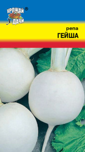 Репа Гейша купить