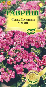 Флокс Магия Друммонда купить