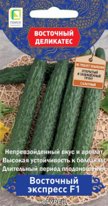 Огурец Восточный экспресс F1 (А) купить