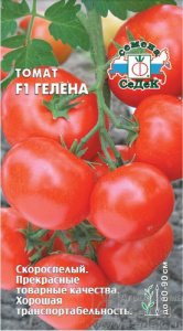 Томат Гелена F1  купить