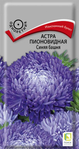 Астра Башня Синяя пионовидная купить