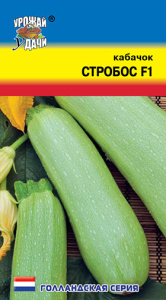 Кабачок Стробос F1 (тип Искандер) купить