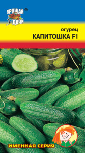 Огурец Капитошка F1  купить