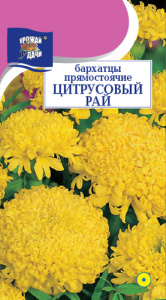 Бархатцы Цитрусовый рай махр. прямостоячие купить