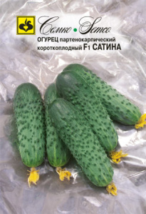 Огурец Сатина F1  купить