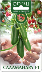 Огурец Саламандра F1 купить