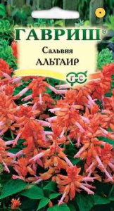 Сальвия Альтаир карликов купить