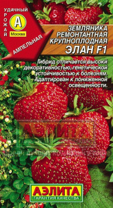 Земляника Элан F1 ремонтантная крупноплодная купить