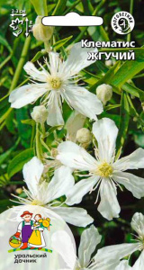 Клематис Жгучий купить