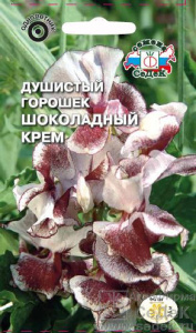 Душистый горошек Шоколадный крем купить