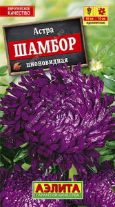 Астра Шамбор пионовидная  купить