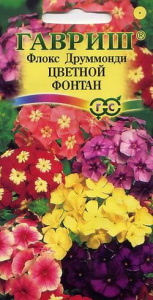 Флокс Цветной фонтан друммонди купить