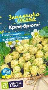 Земляника Крем-брюле желтая ремонтантная