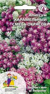 Алиссум Карамельный смесь окрасок купить