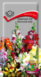 Львиный зев Магический ковер купить