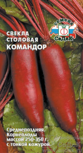 Свекла Командор  купить