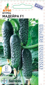 Огурец Мадейра F1  Seminis Эконом купить