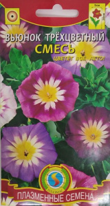 Вьюнок Трёхцветный, смесь  купить