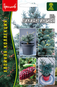 Ель Ликиангинская   купить