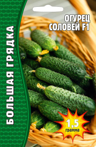 Огурец Соловей F1 купить
