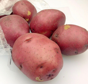 Картофель семенной Женечка (суперэлита) 2кг купить