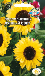 Подсолнечник Лунный свет декоративный купить