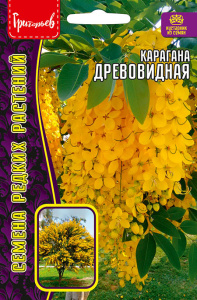 Карагана Древовидная купить