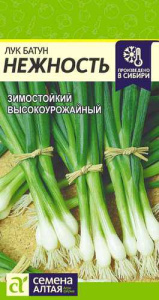 Лук Нежность, батун купить