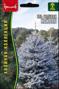 Ель Кайбаб голубая (Kaibab)  купить