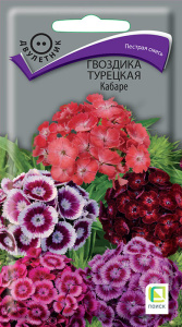 Гвоздика Кабаре турецкая купить