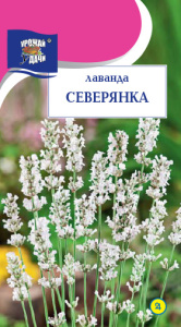 Лаванда СЕВЕРЯНКА купить